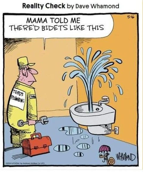 Reality Check by Dave Whamond MAMA TOLD ME THERE'D BIDETS LIKE THIS 5%6 TERDS PLUMBING WHAMAD