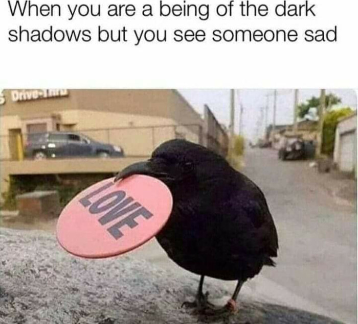 When you are a being of the dark shadows but see someone sad Driv