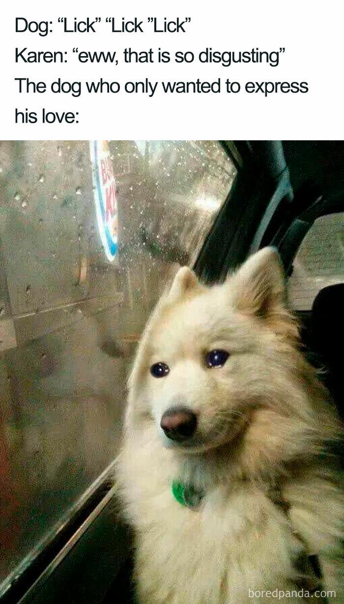 Meme by pupperdoggo