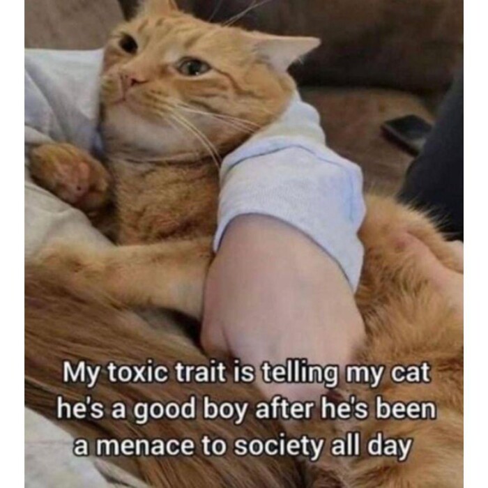 Meme by disneymemes