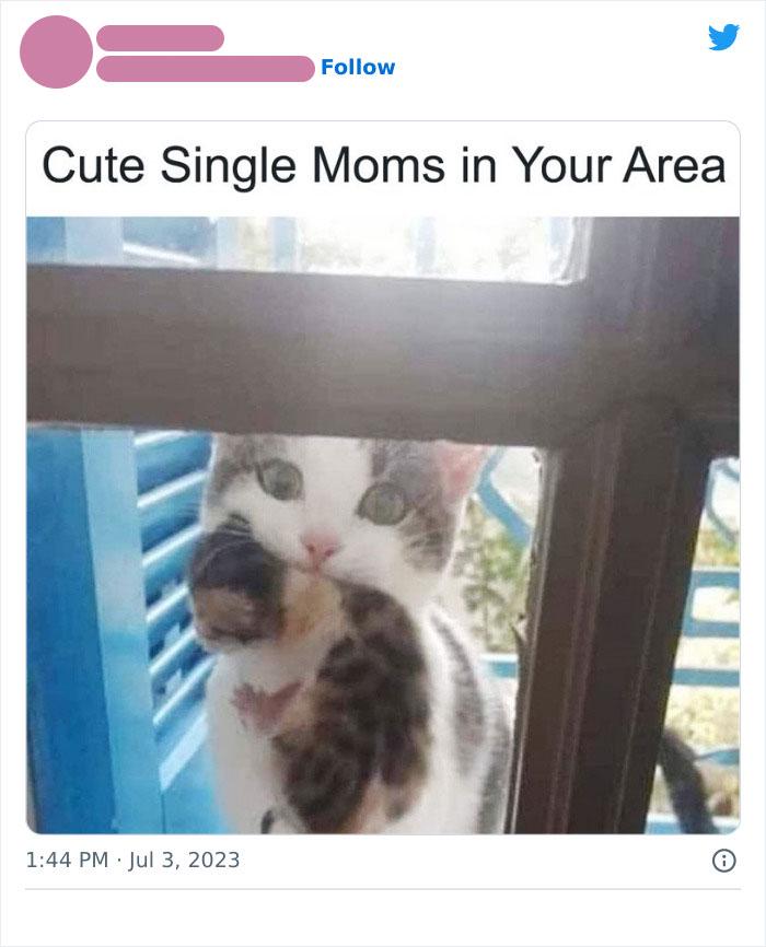 Cute Single Moms in Your Area