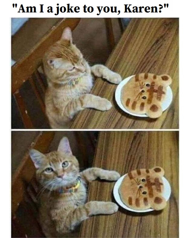 joke to you, Karen?"