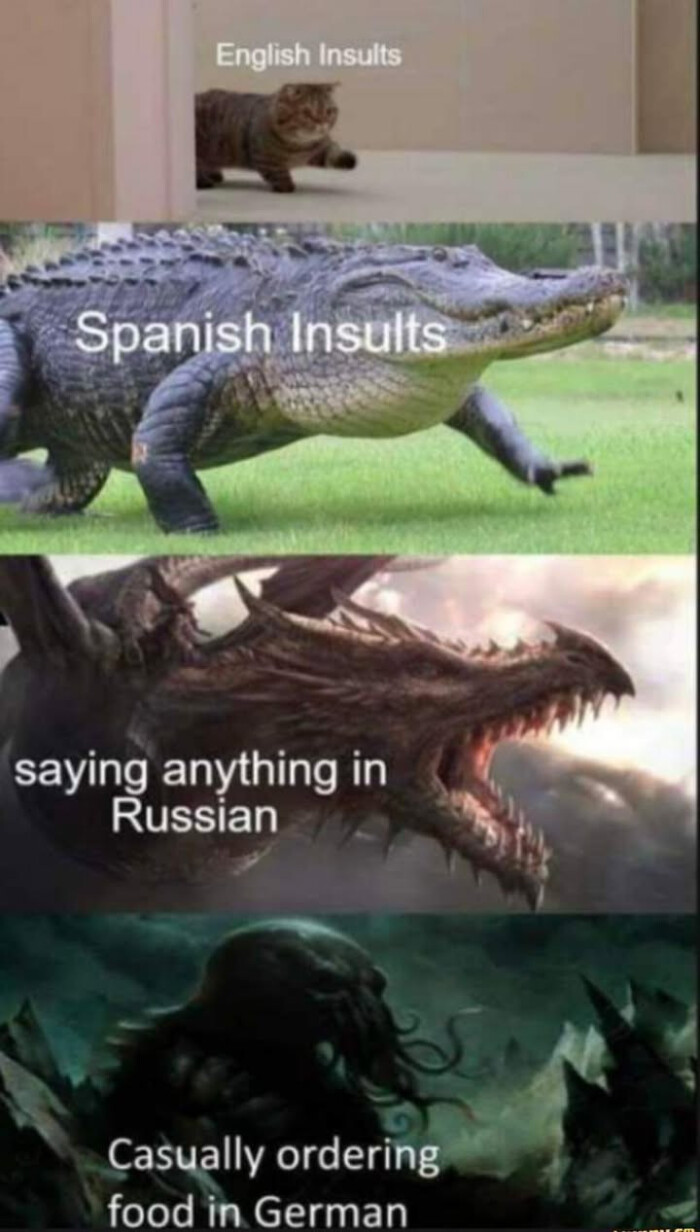 English Insults Spanish saying anything in Russian Casually ordering food German