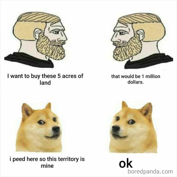 Meme by doge