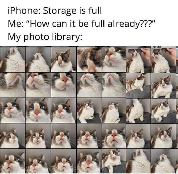 iPhone: Storage is full Me: "How can it be already???" My photo library: