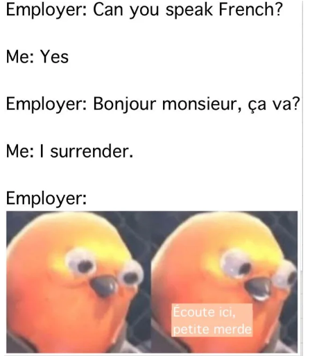 Employer: Can you speak French? Me: Yes Bonjour monsieur, ca va? I surrender. Ecoute ici, petite merde