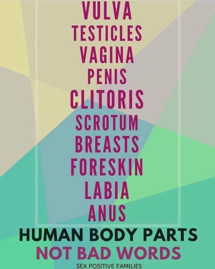 TESTICLES SCROTUM BREASTS FORESKIN LABIA HUMAN BODY PARTS NOT BAD WORDS POSITIVE FAMILIES