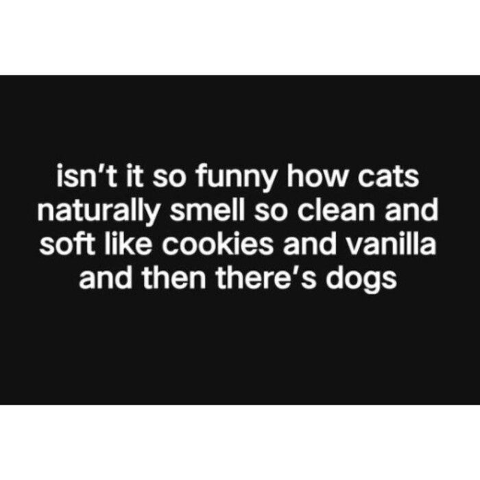 Meme by postyourcats