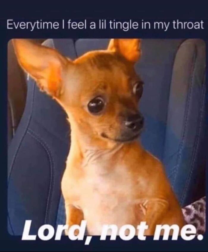 Meme by doge