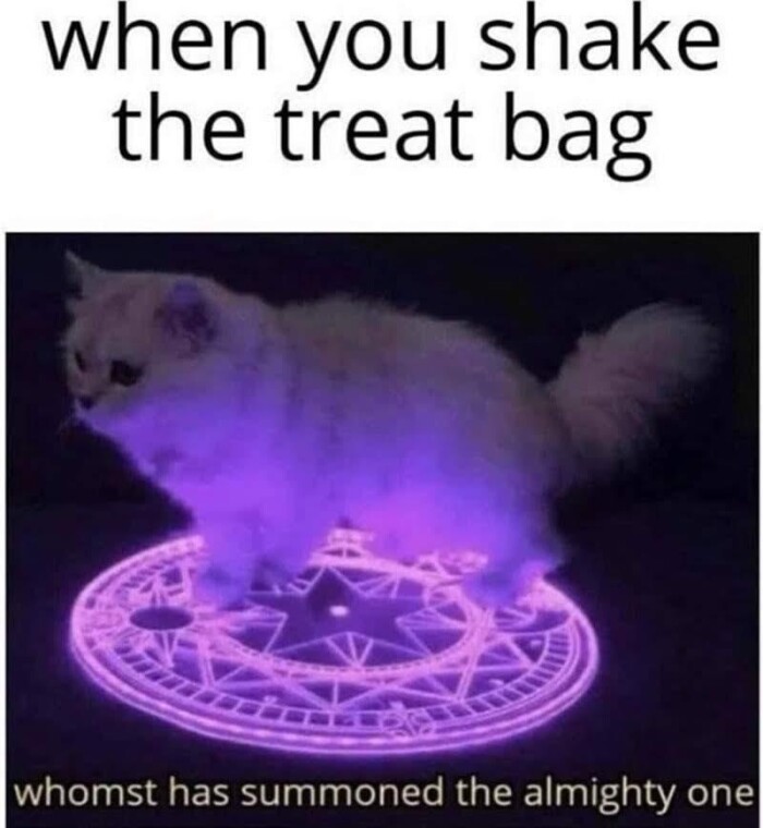 Meme by postyourcats