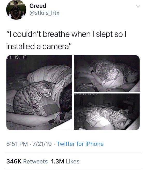 Meme by gargoyle