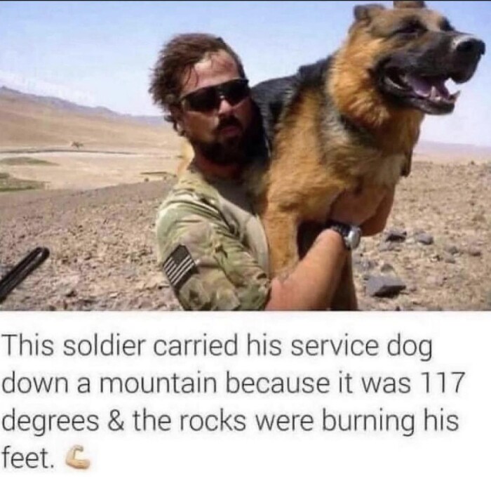 Meme by wholesomedoggos