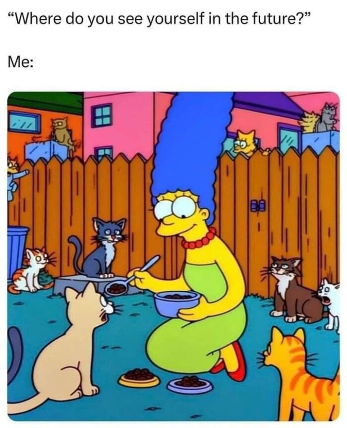 Meme by postyourcats