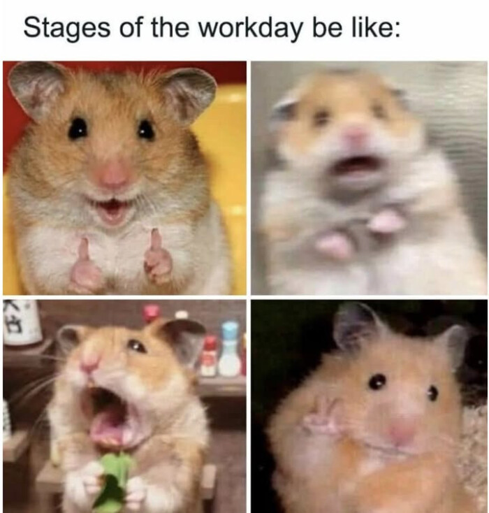 Stages of the workday be like: 17