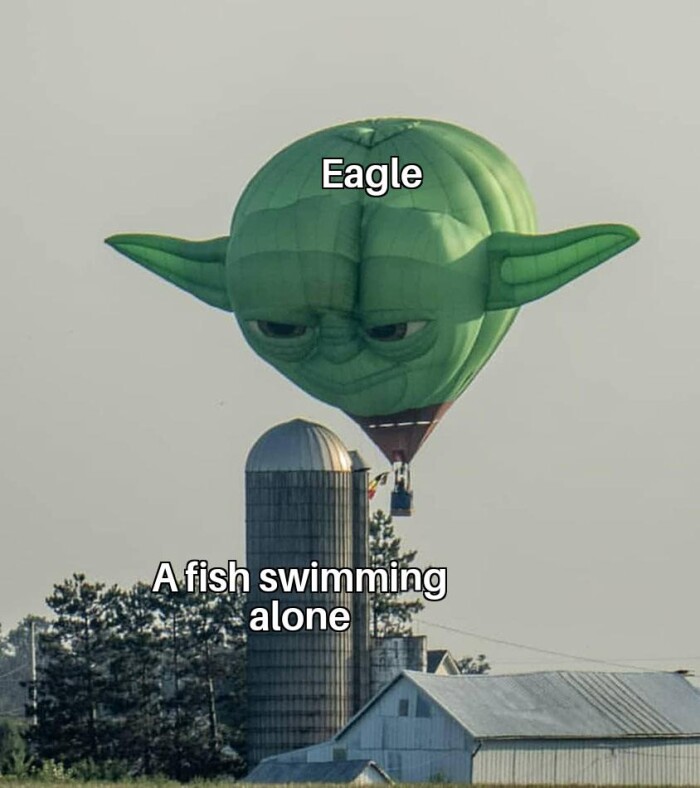 Meme by australianmemes