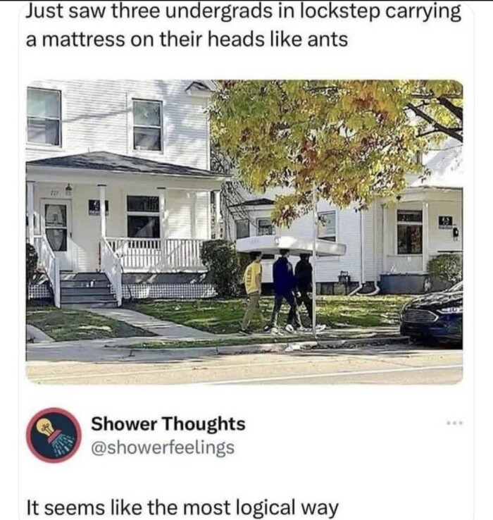 Just saw three undergrads in lockstep carrying a mattress on their heads like ants Shower Thoughts @showerfeelings It seems the most logical way