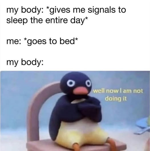 signals to Sleep the entire day* me: *goes bed* well now I am not doing it