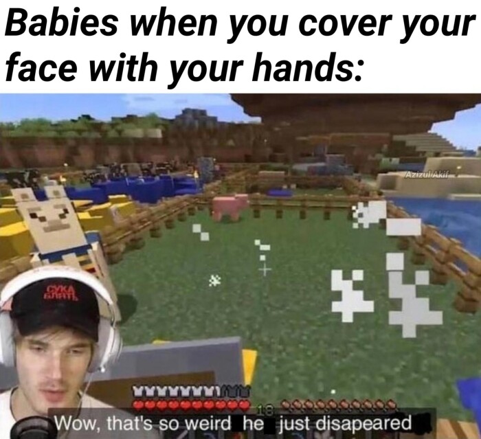 Meme by postize