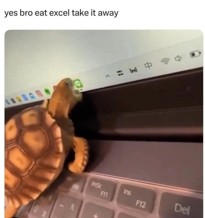 yes bro eat excel take it away FIr Ins F12 Del