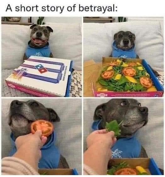 A short story of betrayal: