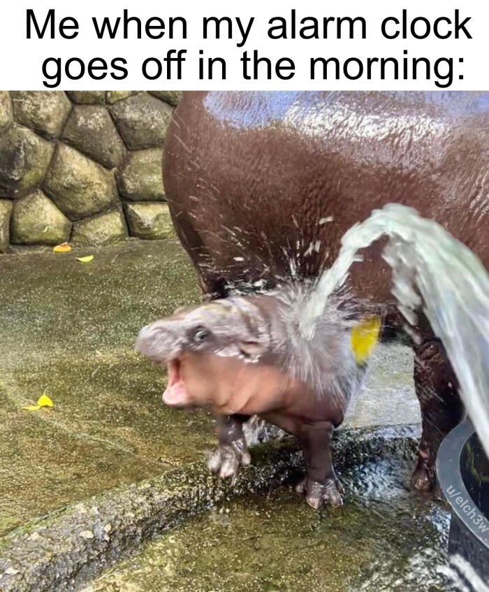 Meme by herinterests