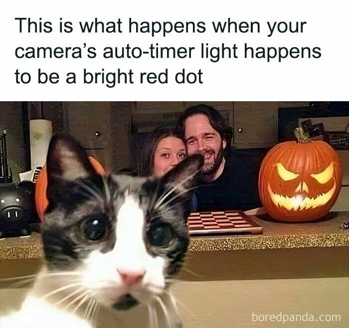This is what happens when your camera's auto-timer light to be a bright red dot boredpanda.com