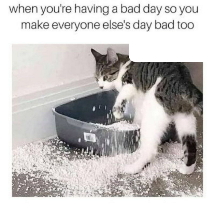 Meme by australianmemes