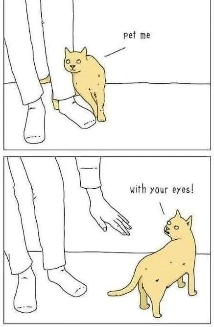 Meme by catsoncatnip