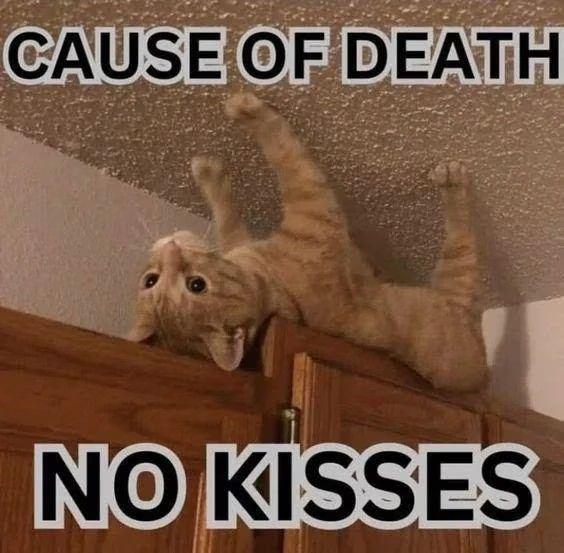 Meme by classic80smusicmemes