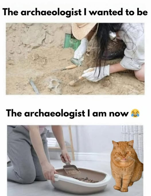 The archaeologist I wanted to be am now UAH