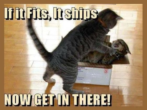 Meme by catsoncatnip