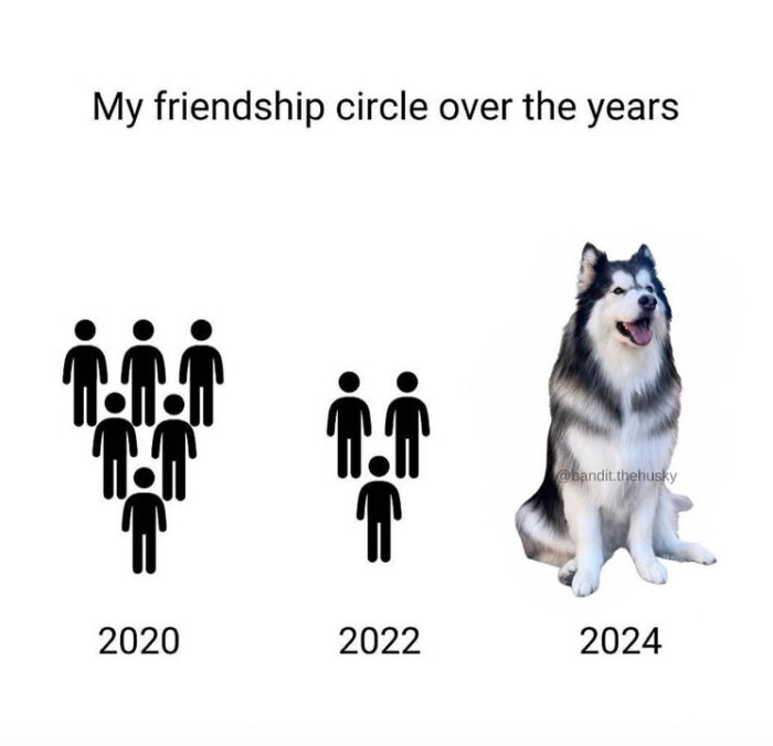 My friendship circle over the years handit.thehusky 2020 2022 2024