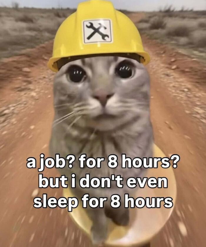 a job? for 8 hours? but i don't even sleep hours