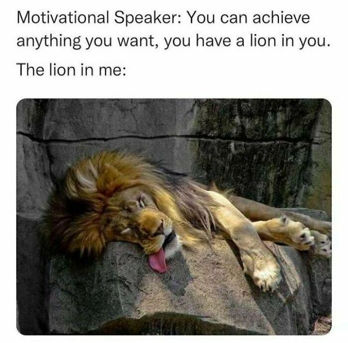 Motivational Speaker: You can achieve anything you want, have a lion in you. The me: