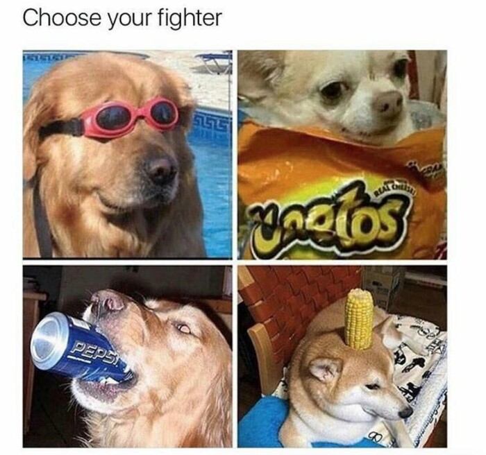 Meme by symphonyofmemes