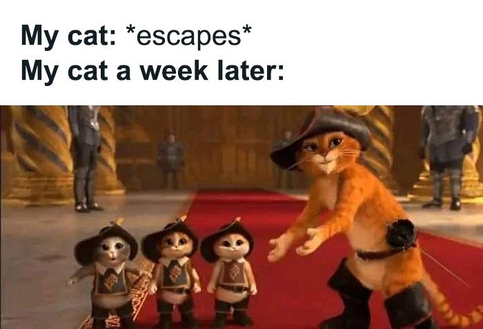Meme by amazingmemes