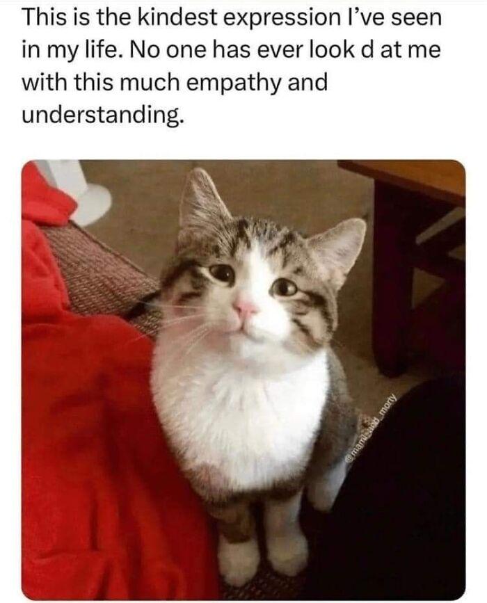 This is the kindest expression l've seen in my life. No one has ever look d at me with this much empathy and understanding.
