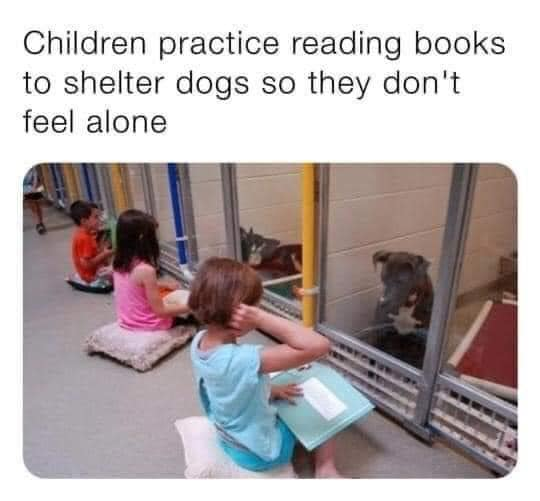 Children practice reading books to shelter dogs so they don't feel alone