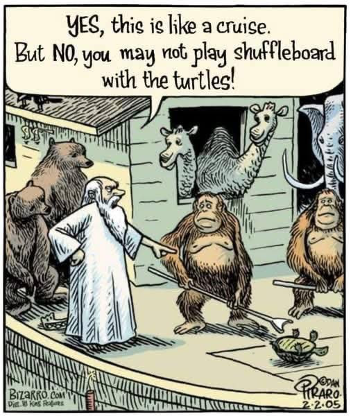 YES, this is like a cruise. But No, you may not play shuffleboard with the turtles. BiZaRRO.coM Did. Id KAS Felties DEDAN TRARO 22.05