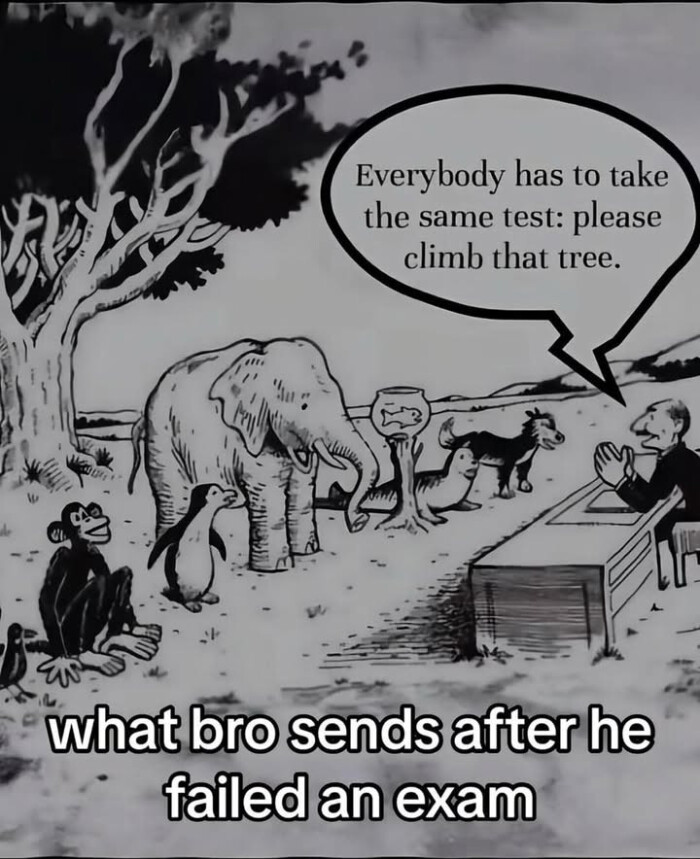 Everybody has to take the same test: please climb that tree. what bro sends after he failed an exam