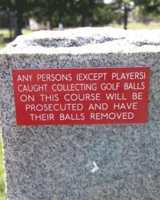 CAUGHT COLLECTING GOLF BALLS ON THIS COURSE WILL BE PROSECUTED AND HAVE THEIR REMOVED