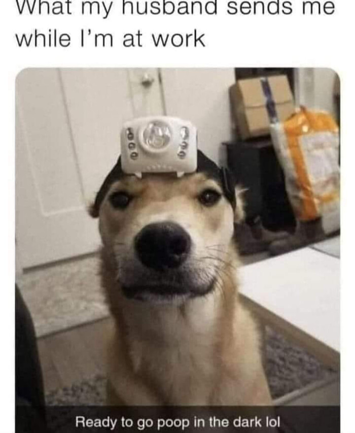 what my husband sends me while I'm at work 06Q Ready to go poop in the dark lol