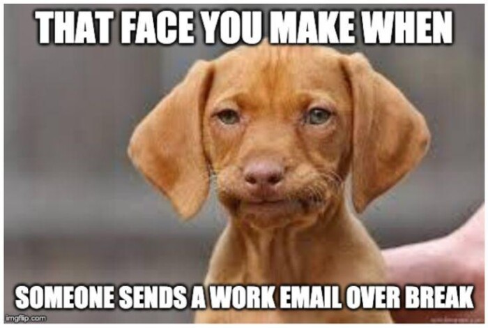 Meme by wholesomedoggos