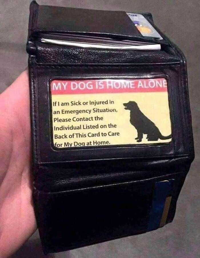 Meme by doge