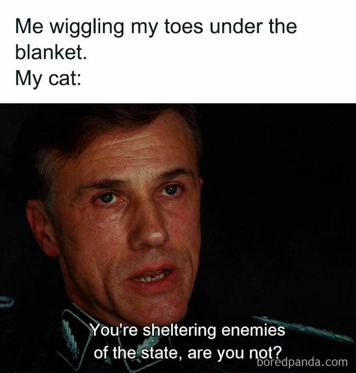 Me wiggling my toes under the blanket. My cat: You're sheltering enemies of state, are you not?apada.com