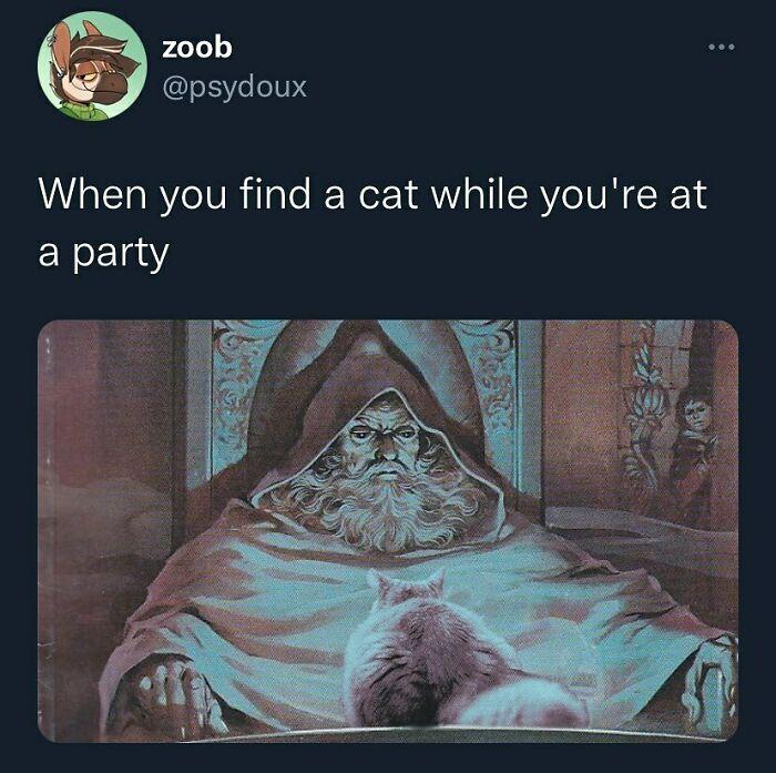 zoob When you find a cat while you're at party