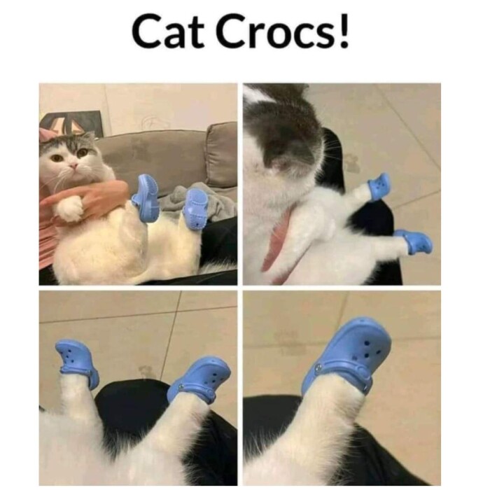 Meme by disneymemes