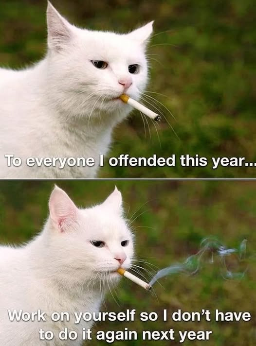To everyone I offended this year... Work on yourself so don't have to do it again next year