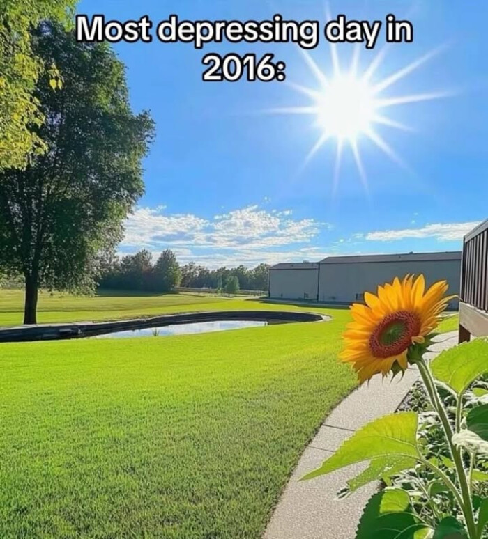 Most depressing day in 2016: