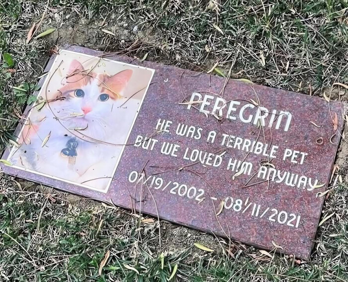 PEREGRIN HE WAS A TERRIBLE PET BUT WE LOUES HIM FRYLAY, 0~9/2002 - 08/11/2021